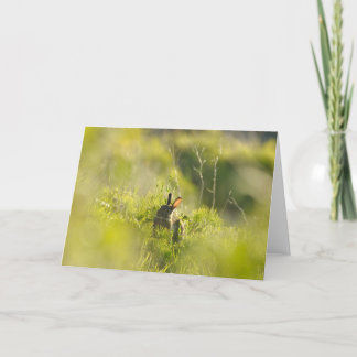 Grußkarte - Rabbit 3 Karte