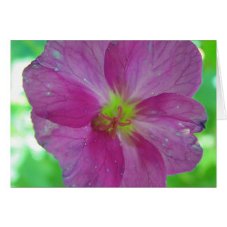 Grußkarte Rosa-gelbe Game Blüte, in Leerzeichen