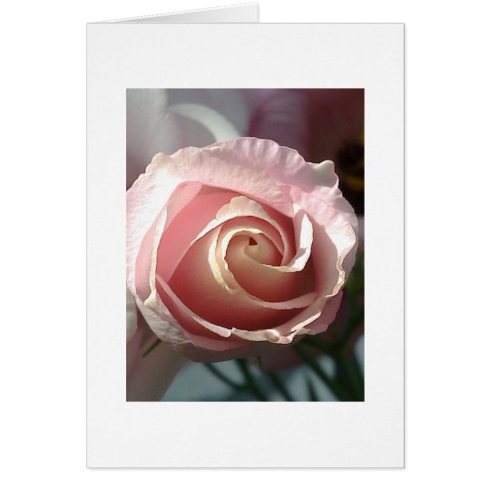 Grusskarte rosa Rose Karte
