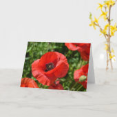 Grußkarte - rote Mohnblumen Karte (Gelbe Blume)