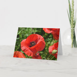 Grußkarte - rote Mohnblumen Karte