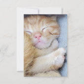 Grußkarte - Schlafkätzchen Dankeskarte (Vorderseite)