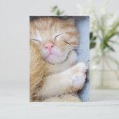 Grußkarte - Schlafkätzchen Dankeskarte (Stehend Vorderseite)