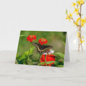 Grußkarte - Schmetterling im Garten in Stowe Karte (Gelbe Blume)