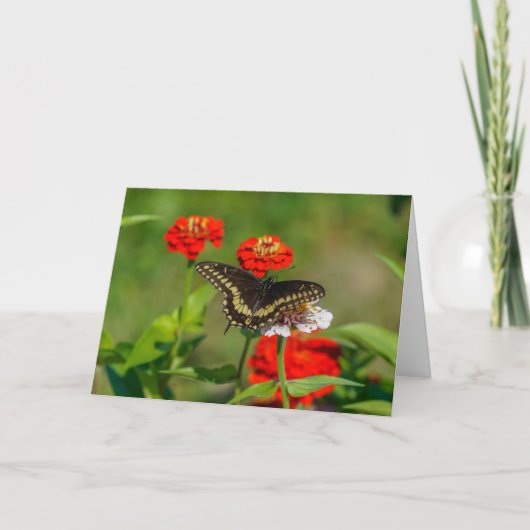 Grußkarte - Schmetterling im Garten in Stowe Karte (Vorderseite)