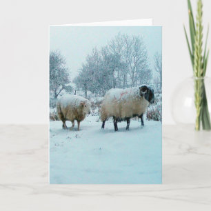 Grußkarte "Schnee im Winter" Karte