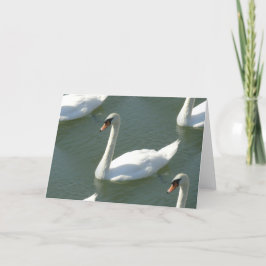 Grußkarte - Schwänze in Farbe Karte