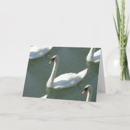 Grußkarte - Schwänze in Farbe Karte