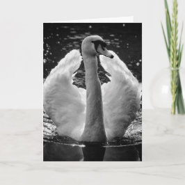 Grußkarte - Schwarz-weißer Foto Swan Karte
