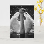 Grußkarte - Schwarz-weißer Foto Swan Karte (Gelbe Blume)