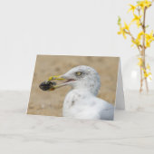 Grußkarte - Seagull mit Mussel Karte (Gelbe Blume)