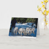 Grußkarte "Shadow Fan" Karte (Gelbe Blume)