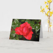 Grußkarte Single rote Rose Karte (Gelbe Blume)