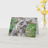 Grußkarte Snow Leopard Karte (Gelbe Blume)