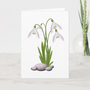 Grußkarte Snowdrops Karte