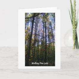 Grußkarte - Sommerspaziergang am Pine Lake Karte