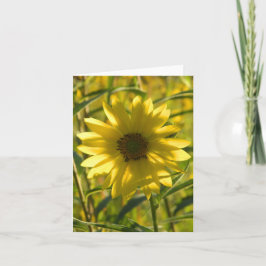 Grußkarte Sonnenblume Karte