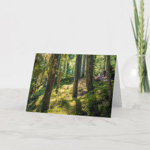 Grußkarte Sonnenlicht-Wälder (Leere) Karte
