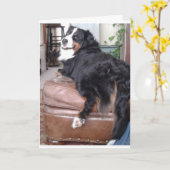 Grußkarte, Standard-weiße Umschläge inklusive Karte (Gelbe Blume)