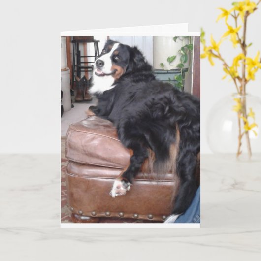 Grußkarte, Standard-weiße Umschläge inklusive Karte (Gelbe Blume)