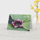 Grußkarte, Standard-weiße Umschläge inklusive Karte (Gelbe Blume)