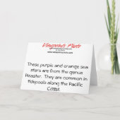 Grußkarte: Starfish Karte (Rückseite)