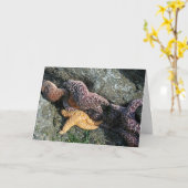 Grußkarte: Starfish Karte (Gelbe Blume)