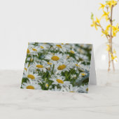 Grußkarte - Sternchen in Vermont Karte (Gelbe Blume)