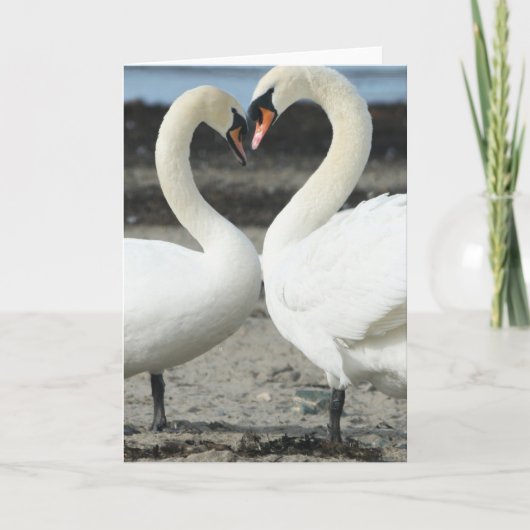 Grußkarte Swan Liebe Karte (Vorderseite)
