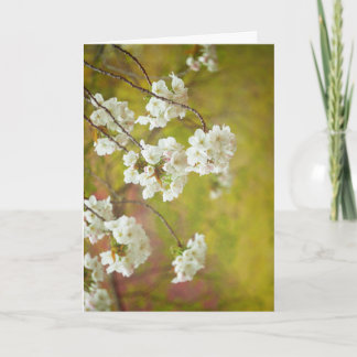 Grußkarte, unbedruckte Innenseite Karte