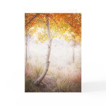 Grußkarte, unbedruckte Innenseite