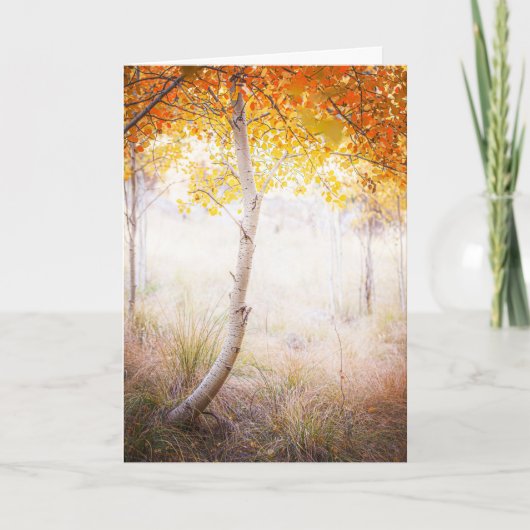 Grußkarte, unbedruckte Innenseite Karte (Vorderseite)