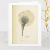 Grußkarte Vintag Mathematik Illustration Karte (Gelbe Blume)