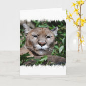 Grußkarte von Cougar Predator Karte (Gelbe Blume)
