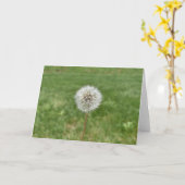 Grußkarte von Dandelion Karte (Gelbe Blume)