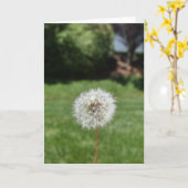 Grußkarte von Dandelion Karte (Gelbe Blume)