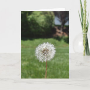 Grußkarte von Dandelion Karte