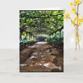 Grußkarte von der sehenspanien-Sammlung Karte (Gelbe Blume)