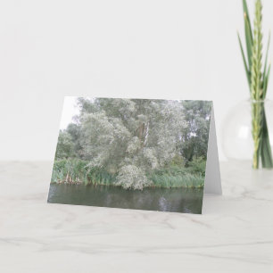 Grußkarte "Weiße Bäume und Flüsse" Karte
