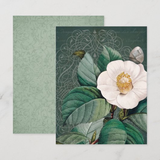 Grußkarte (Weiße Kamelien) (Vorne/Hinten)