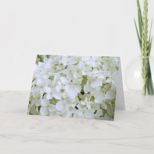 Grußkarte - Weißes Hydrangea Karte
