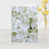 Grußkarte - Weißes Hydrangea Karte (Gelbe Blume)