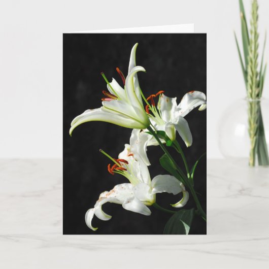 Grußkarte "White Lilies" Karte (Vorderseite)