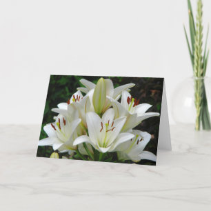 Grußkarte "White Lilies" Karte