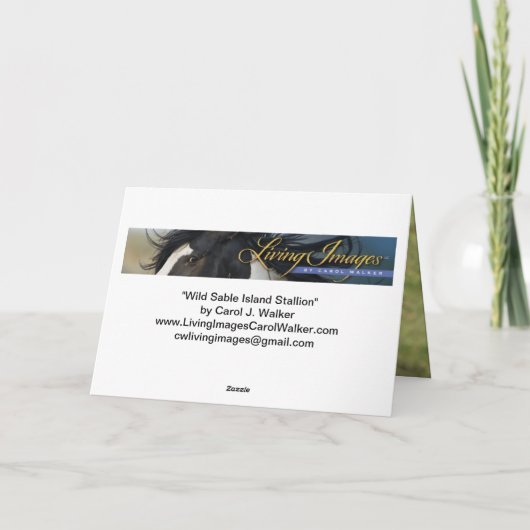 Grußkarte Wild Sable Island Dankeskarte (Rückseite)