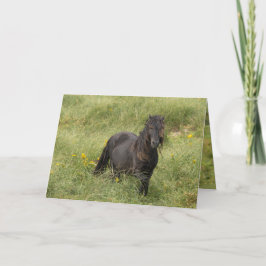 Grußkarte Wild Sable Island Dankeskarte