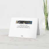 Grußkarte Wildes Pferd Aussehen Glastrollen Karte (Rückseite)