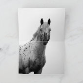 Grußkarte Wildes Pferd Aussehen Glastrollen Karte (Innenseite)