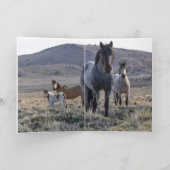 Grußkarte Wildes Pferd - Blau und seine Familie Dankeskarte (Innenseite)