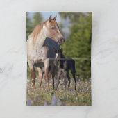 Grußkarte Wildes Pferd - Electra & Pandora Karte (Innenseite)